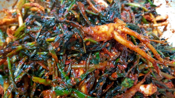  고들빼기김치 맛있게 담는법 고들빼기 효능 가을 밥상으로 고들빼기 반찬 최고~!!