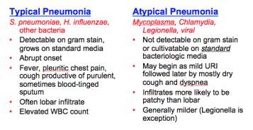 비특이성 폐렴(atypical pneumonia)과 특이성 폐렴(typical pneumonia)의 차이점