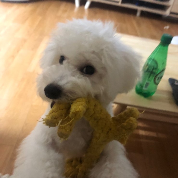  자는게 너무 귀여운우리 고봉이~~ㅎㅎ