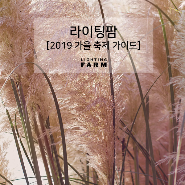  2019 가을 축제 가이드  ft. 조명쇼핑몰 라이팅팜