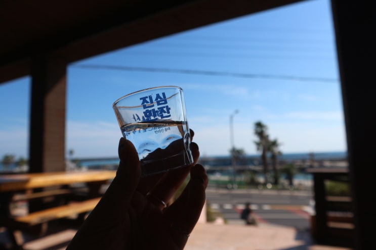  가을제주도여행 동쪽 코스로 GO!