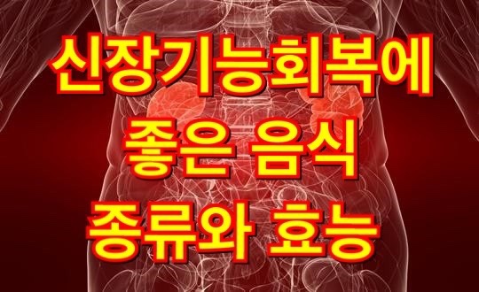  신장기능회복 에 좋은 음식 종류와 효능 효과