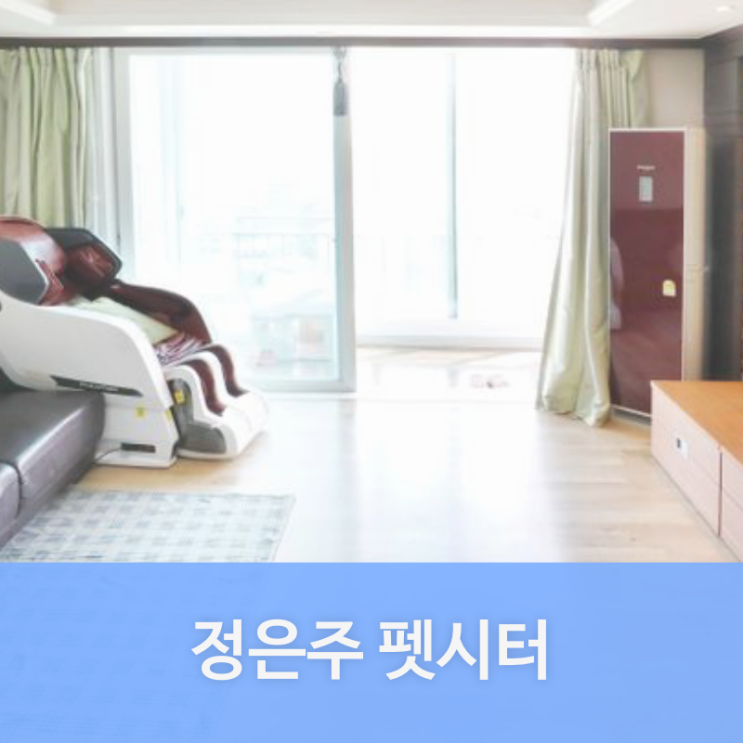  서대문구 대현동 펫시터 정은주님을 소개합니다. | 대현동 애견호텔, 애견유치원, 강아지유치원, 강아지호텔 찾는다면 펫플래닛