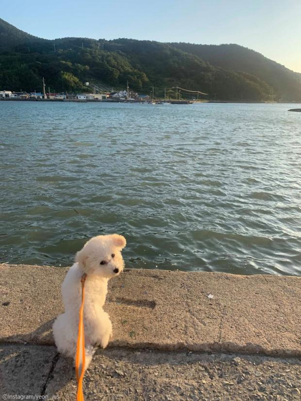  물 마시러 왔다가 발만 씻고 간(?) 강아지