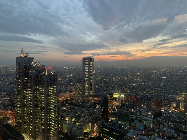  도쿄도청 전망대에서 바라 본 도쿄의 낮과 밤