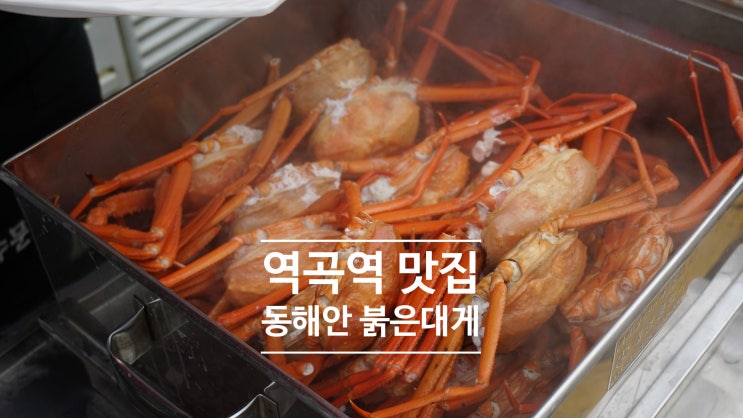  역곡역 맛집, 역곡 대게@동해안 붉은 대게 무한리필 / 가격 부담 없이 홍게 먹기