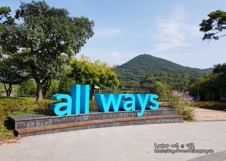  인천대공원 가을 나들이 다녀왔어요.