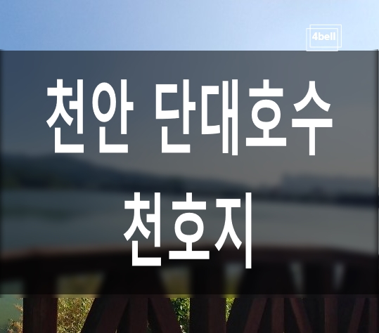  천안 단대호수 세 바퀴 음악과 천호지 산책