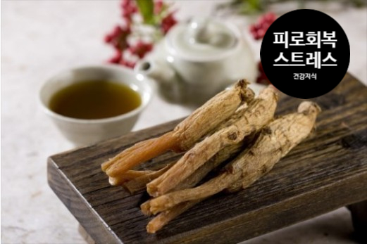   스트레스 해소 피로 회복에 좋은 비법 5가지