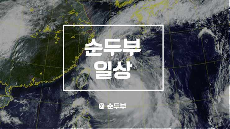  순두부 일상) 일본 태풍 19호(하기비스) 도쿄  현지 상황