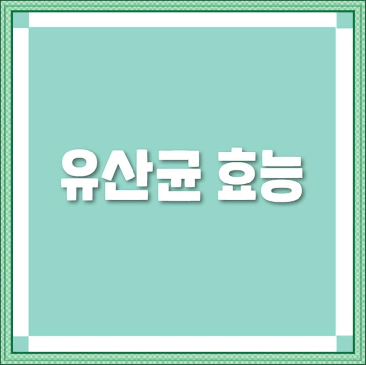  대박~ 특허 3종 모유유산균 벌크