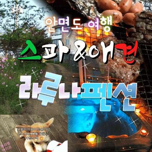  안면도스파펜션 라루나에서 세여자의 못말리는 가을낭만 안면도여행2