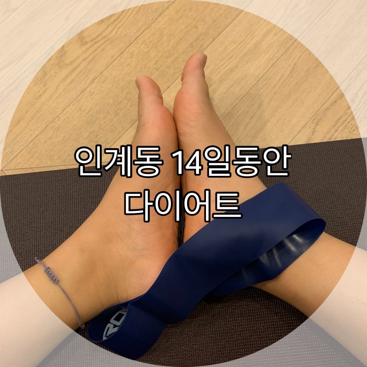  인계동운동 14일동안 수원점 다이어트 운동예약하는방법 & 인바디