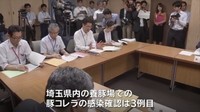  [일본뉴스] 埼玉 本庄市の養豚場 豚コレラ感染、県内３例目-사이타마 혼죠시의 양돈장. 돼지 콜레라 감염, 현내 3번째.