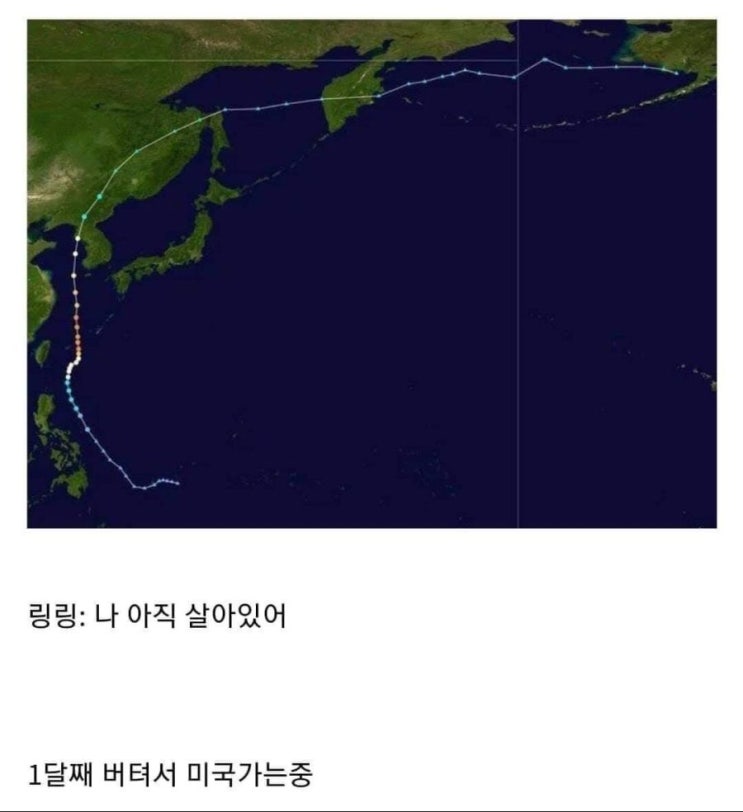  13호 태풍 링링 근황.jpg