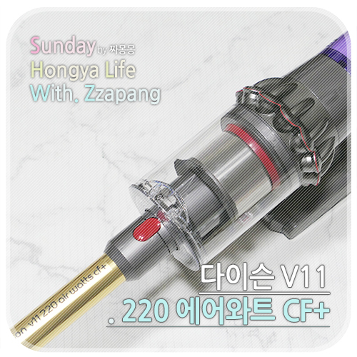  다이슨 V11 220 에어와트 CF+ 무선청소기로 강력한 흡입력 테스트!