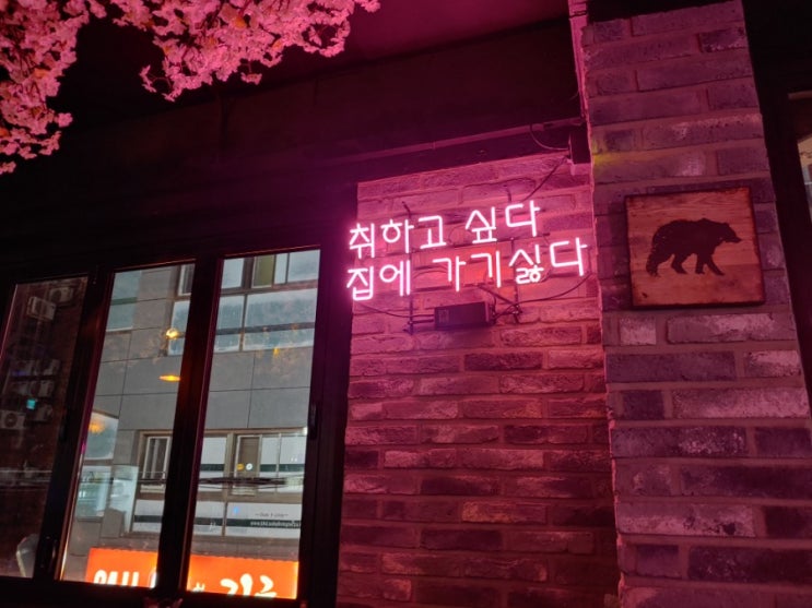회기동 술집/경희대 포차. 씨와이포차 회기동 술집/경희대 포차. 씨와이포차