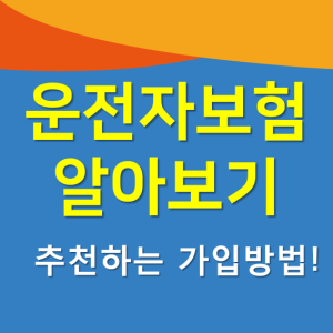  운전자보험입원비 기초 지식을 쌓고 알맞은 유형을 선택하세요