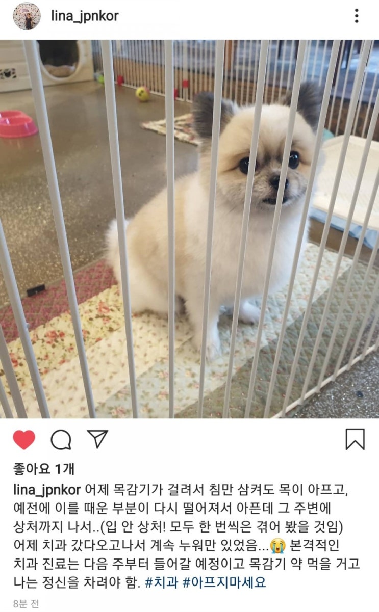  감기 조심하세요+2011년에 올린 글