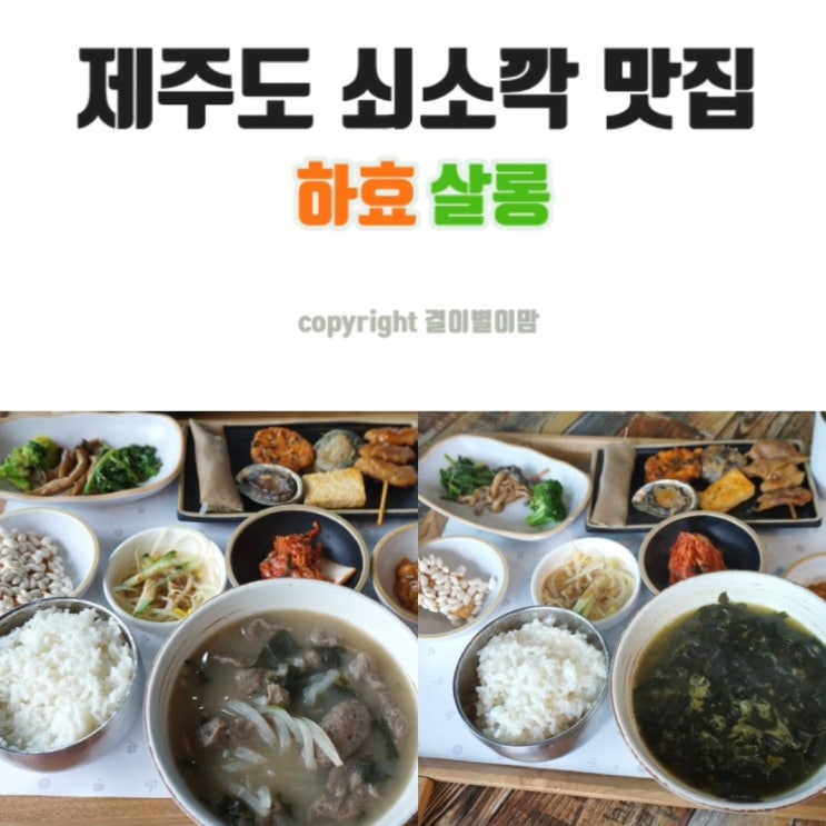  쇠소깍 근처 맛집 하효살롱