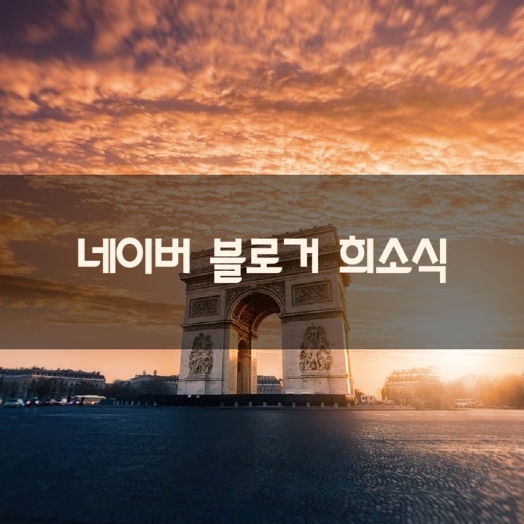  네이버 블로그 수익을 목표로 하는 블로거 희소식 2가지 feat 나플 팁