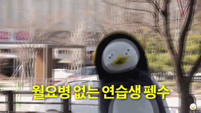  카톡 프사 짤 모음42 (펭수짤모음4)