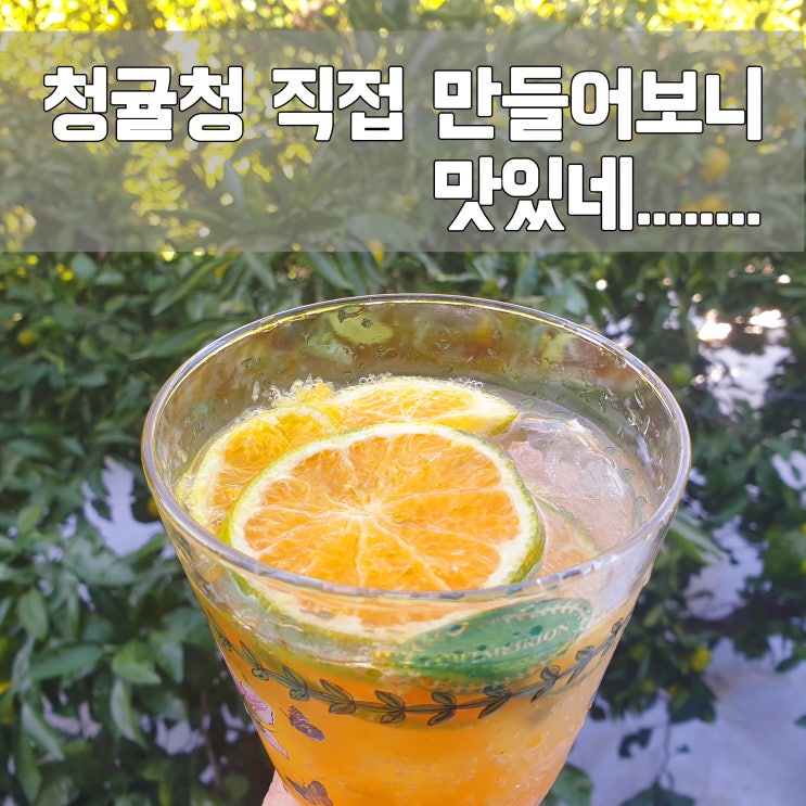  청귤청 저도 한번 만들어 보았습니다.
