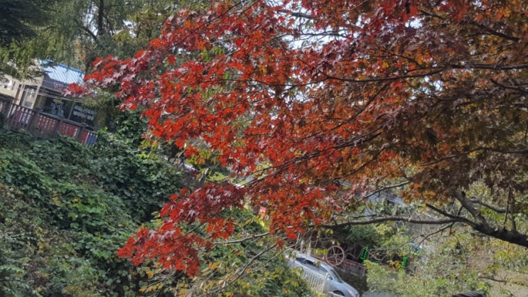  소요산 단풍 놀이 갔더니
