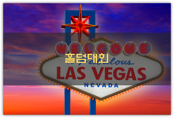  홀덤대회/WorldSeriesOfPoker(wsop)