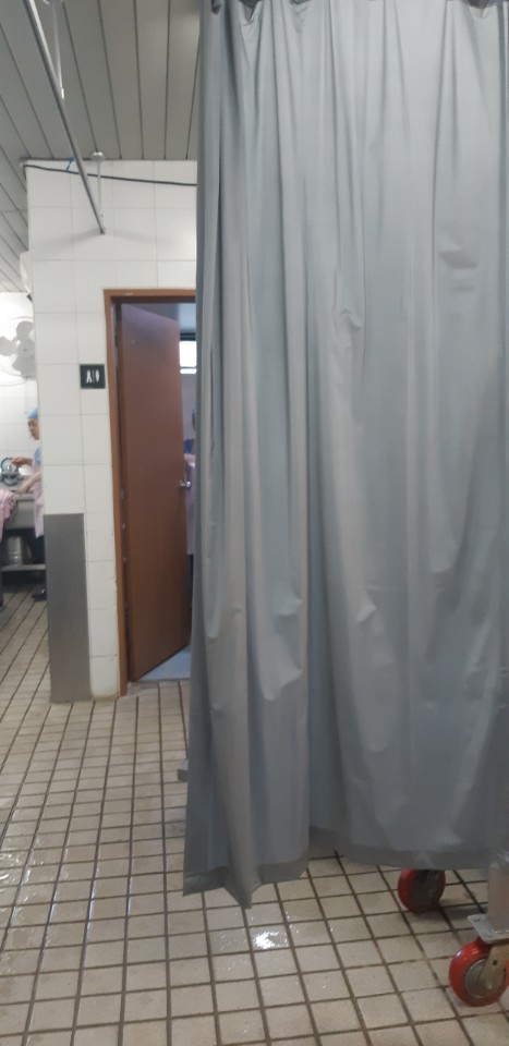  서울대 생협 노동자 파업 그리고 공감의 부재