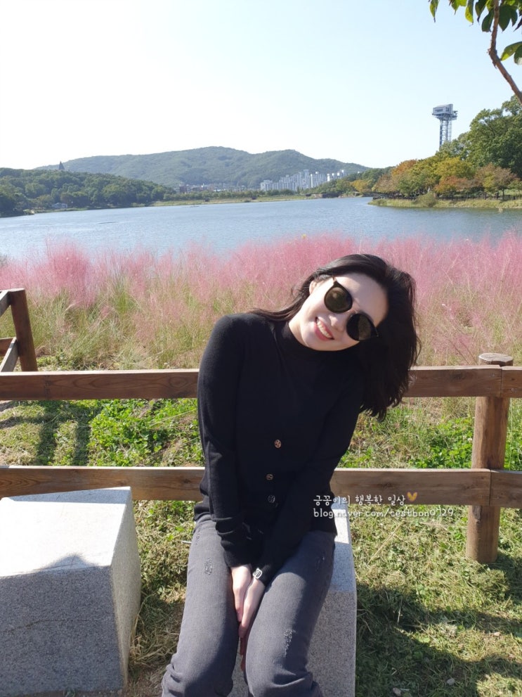  분당 율동공원 핑크뮬리 :: 포토스팟