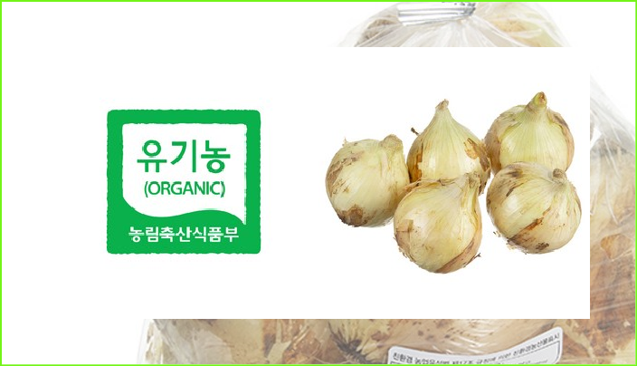  친환경 양파
