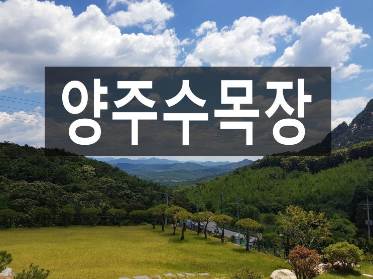 양주 수목장에 다녀왔어요~