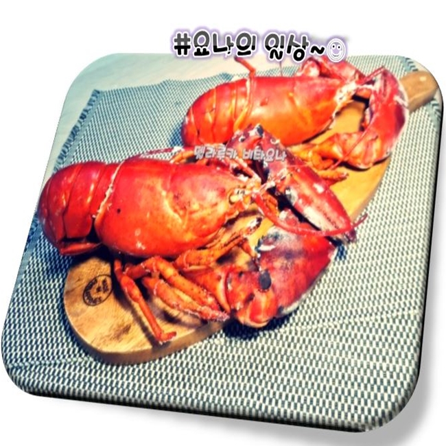  오늘은 바닷가재 먹는날 랍스터대왕새우 포식 비타요나는 아직도 먹고싶은게 많다!!