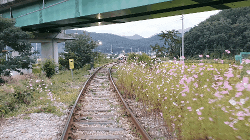  춘천 김유정레일바이크,카누,ATV 엑티비티 뿌시기