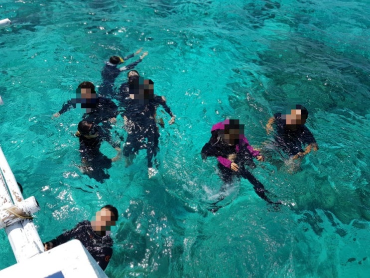  [필리핀 세부 오슬롭] 필리핀 스킨스쿠버다이빙 고래상어를 만날 수 있는 진스 다이브 리조트(JINS DIVE RESORT) 2편