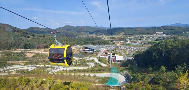 루지 Luge 타러 강화도에