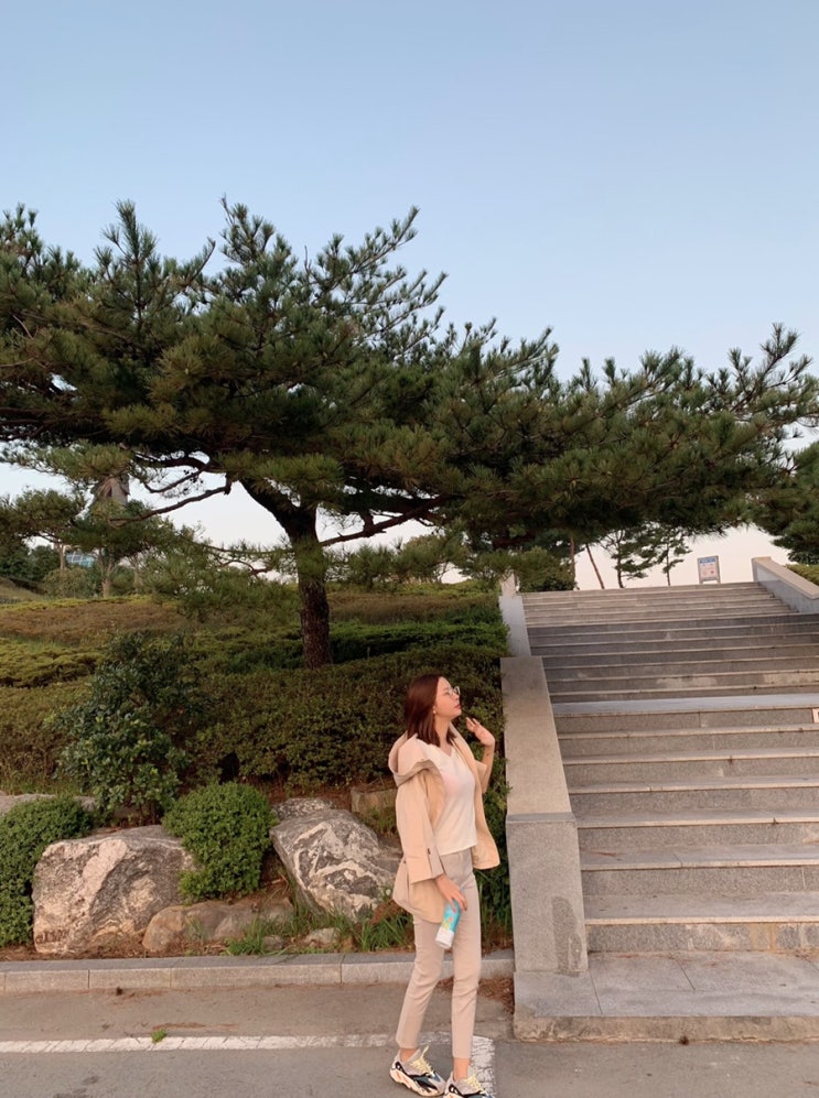  [전라도여행] 광주송정역 송원떡갈비 / 완도 장보고 동상,박물관 / 학림회센타,사오정식당 / 만남의광장 닭코스요리
