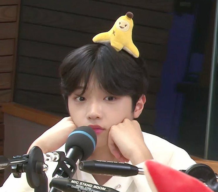  [엑스원 빙의글/손동표빙의글]