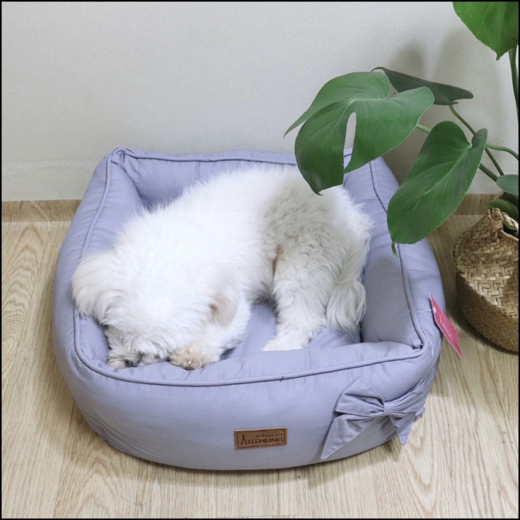  예쁜 강아지방석 포근이 하우스 (폴리파크)