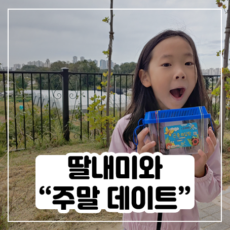 딸내미와 잠자리 잡고 놀았어요 딸내미와 잠자리 잡고 놀았어요