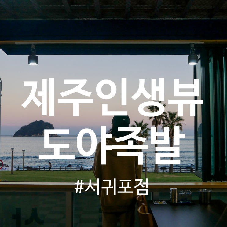  제주족발추천 서귀포 자구리공원 도야족발 인생뷰