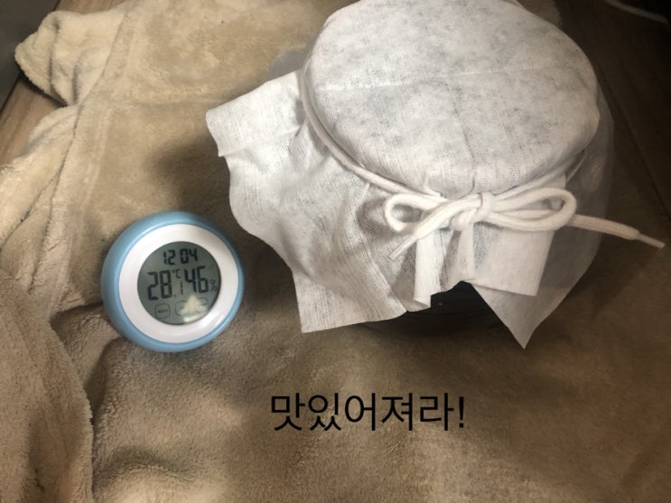  집에서 막걸리 만들기(총정리)