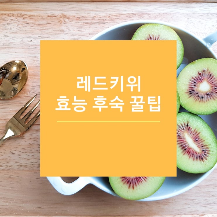  레드키위 효능 키위 종류 꿀맛 16브릭스 아이간식