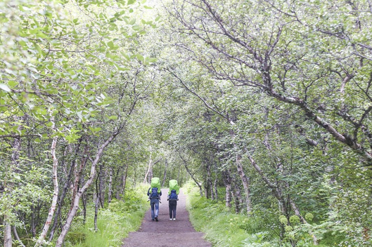  호프디(Hofdi)와 미바튼(Myvatn) 호수 파노라믹 포인트