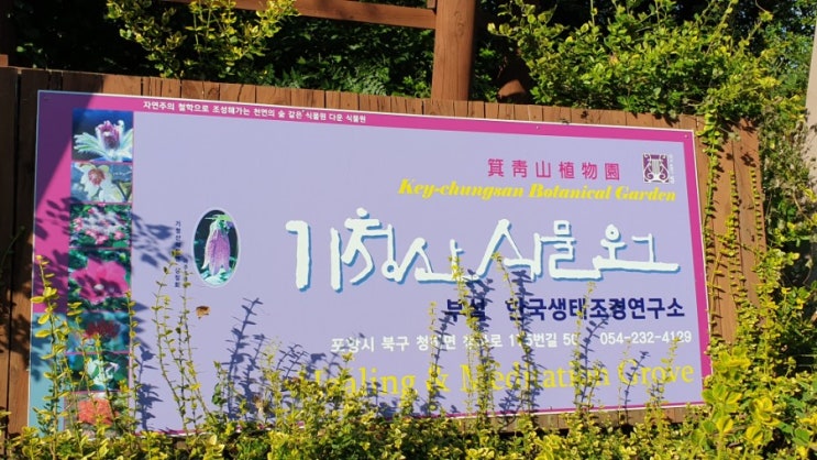  기청산식물원 견학 갔다왔어요~