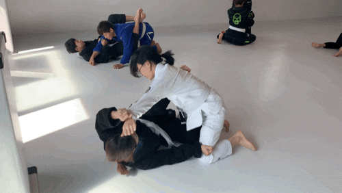  주말 취미 운동 토요일 12시부 주짓수 하러오세요 영등포구청 당산 문래 주짓수 수업일상