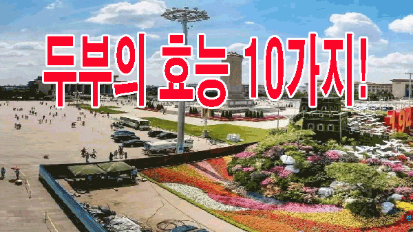  두부의 효능 10가지!