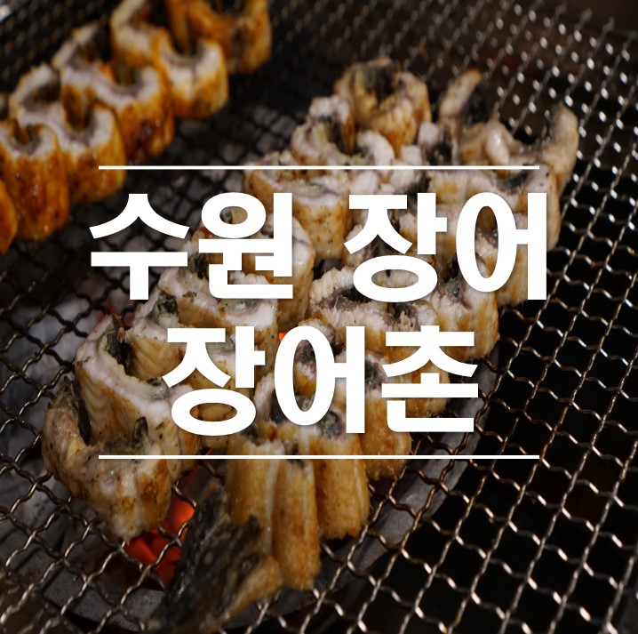  수원 장어 맛과 건강이 가득한 장어촌 놀라운 맛으로 몸보신 완료!