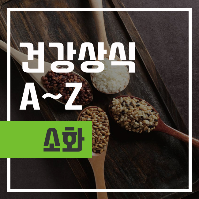  소화 잘되는 음식 알아두세요